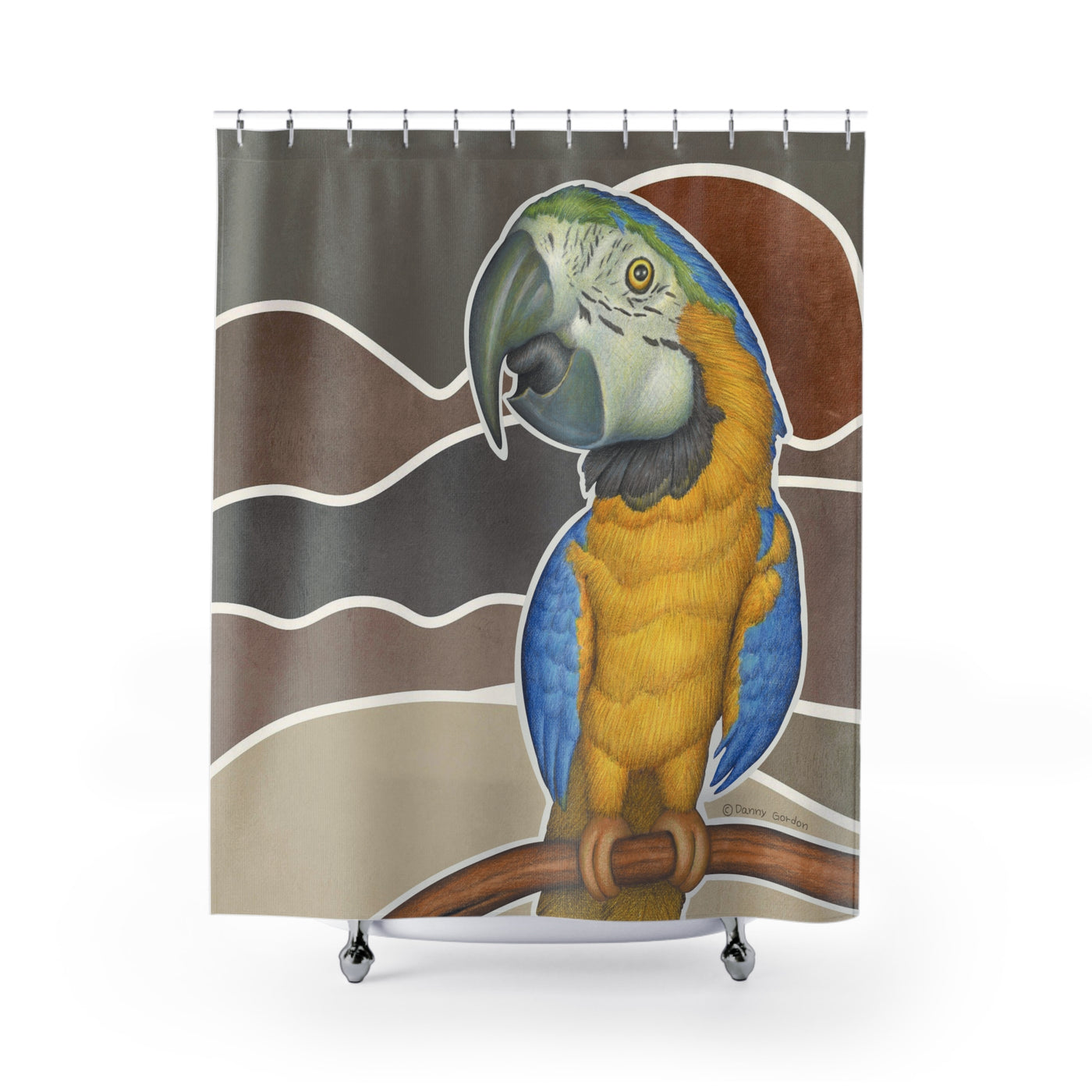 Cute Blue and Gold Macaw Parrot