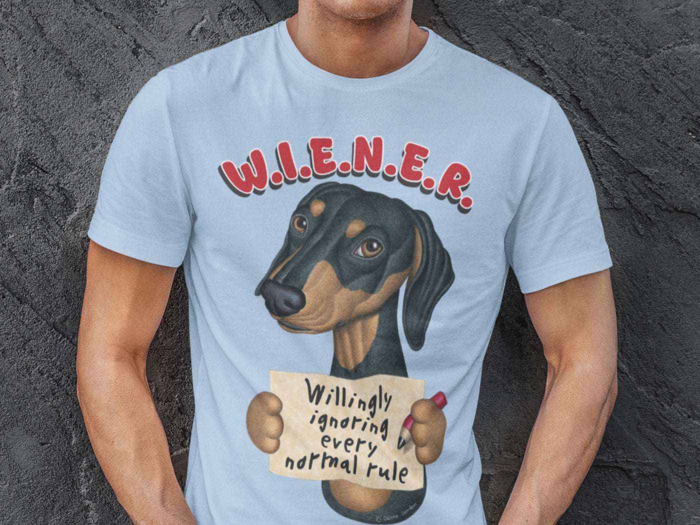 W.I.E.N.E.R. Willingly Ignoring Every Normal Rule product